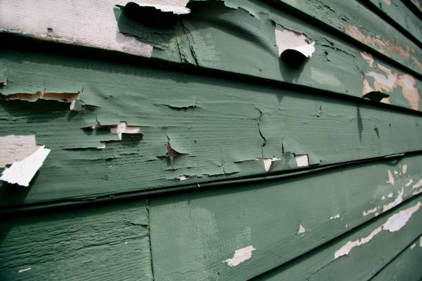 Glen Dale, WV Junk Removal Company
